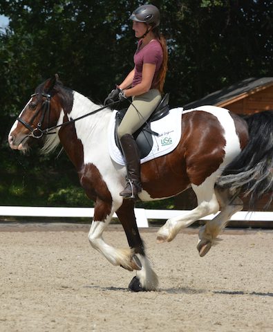 galoppwechsel-tinker tinker-schoeffmann