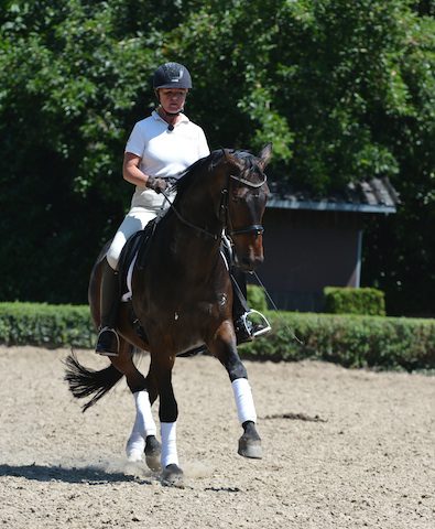 Britta-Schöffman-eigenes-Pferd ausgebildet-von-Britta-Schöffmann