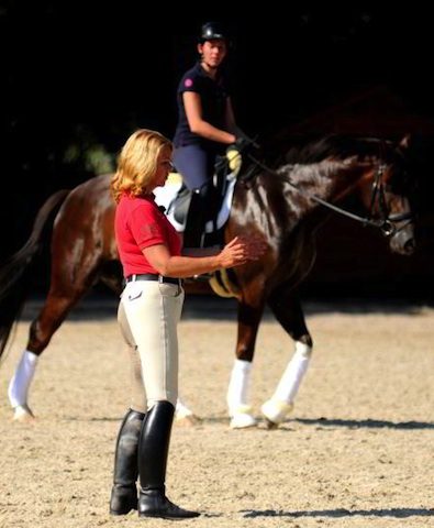Dressurausbildung-von-Britta-Schöffmann Reiten-gut-erklärt