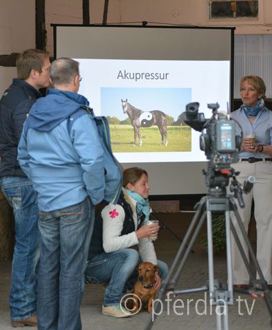 akupressur-fuer-pferde akupressur-fuer-pferde
