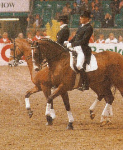 quadrille-deutschland olympia-quadrille