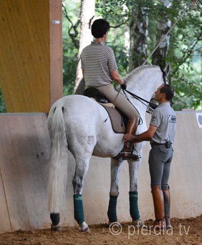 unterricht-pedro-torres working-equitation-lernen