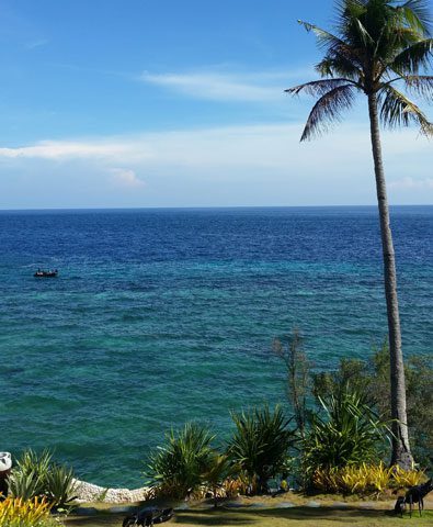 Ausblick-auf-den-Philippinen Pferdia-auf-den-Philippinen
