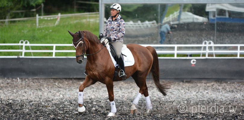 dreh-gut-reiten-gutes-tun gut-reiten-gutes-tun