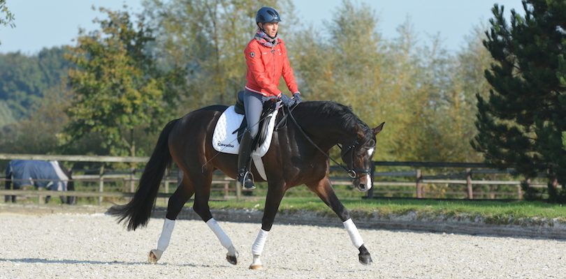 Dehnungshaltung Reiten-in-Dehnungshaltung