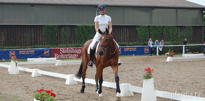 dressurturnier dressur-reiten