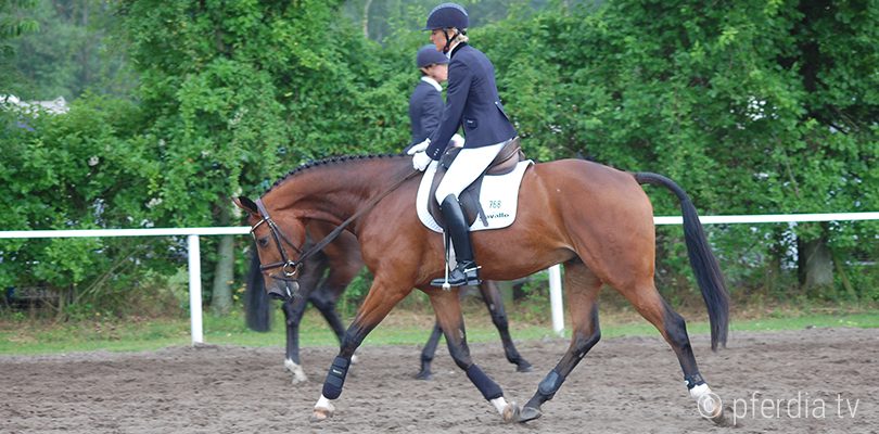 abreiteplatz-turnier reiten-turnier