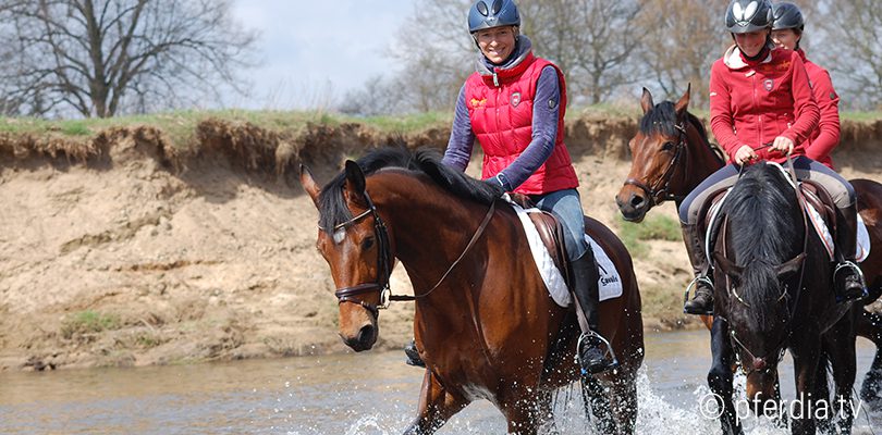 ingrid-klimke-wasser-reiten reiten-im-wasser