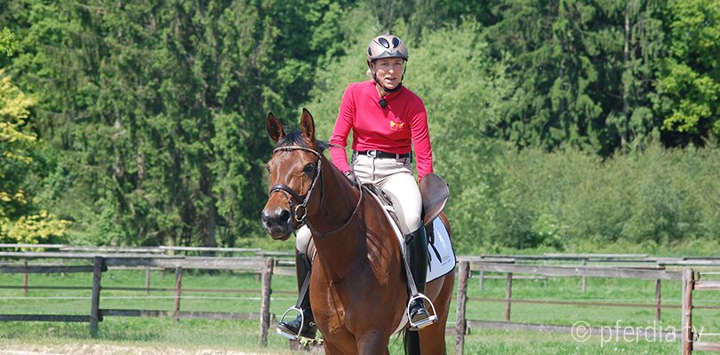 ingrid-klimke-escada vielseitigkeit-wiesbaden