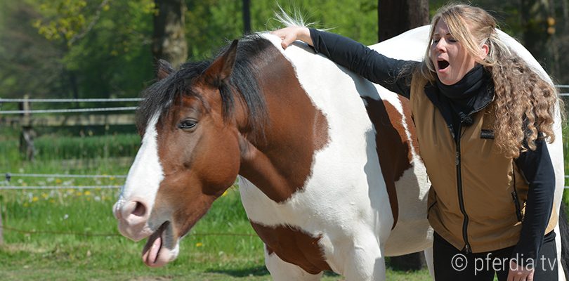 Spiegelübung-von-Ian-Benson Jenny-Wild-lustige-Spiegelübung
