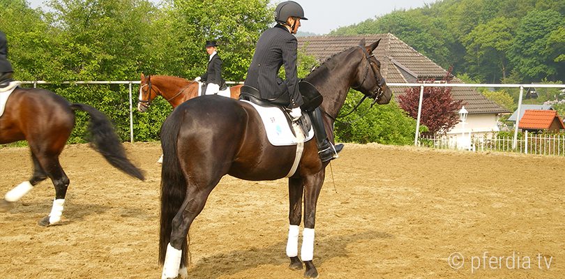 ingrid-klimke-turnier trunier-reiten-dressur