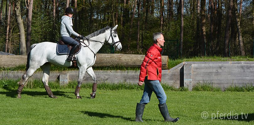 chris-bartle-vielseitigkeit training-gelaende