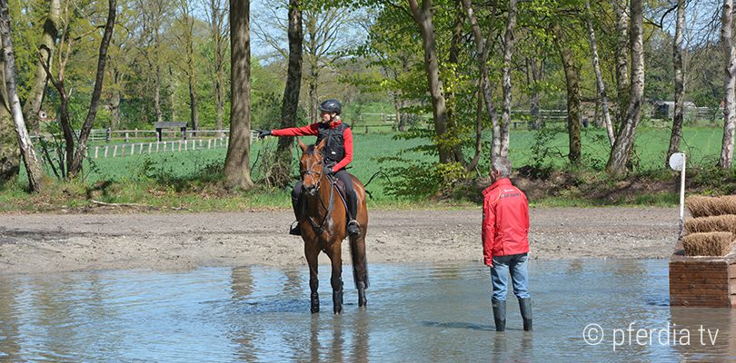 vielseitigkeit gelaende-reiten
