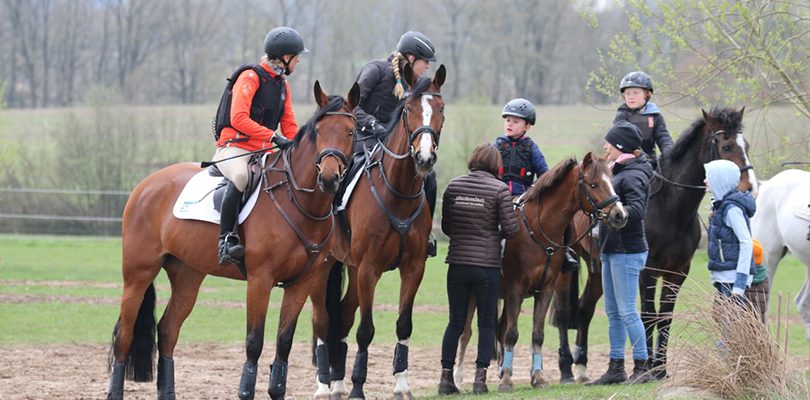 kinder-reiten reitunterricht-kinder