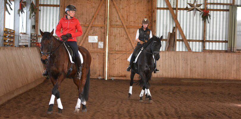 Reiten-im-Team Reiten-bei-Kurd-Albrecht-von-Ziegner