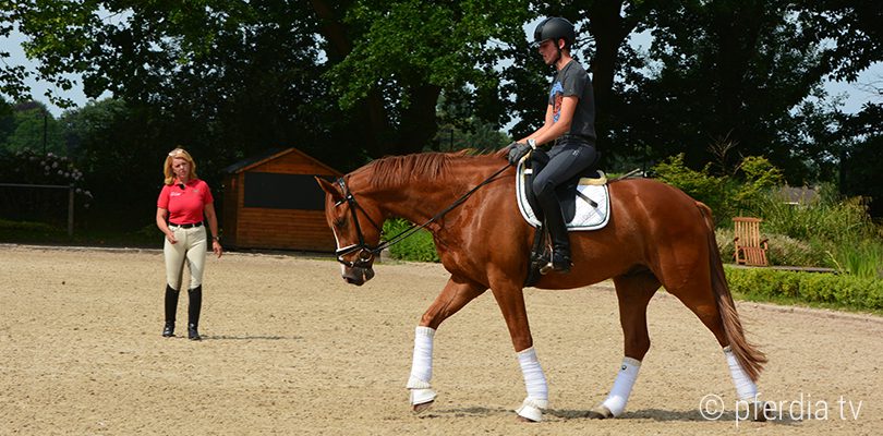 reitunterricht unterricht-reiten