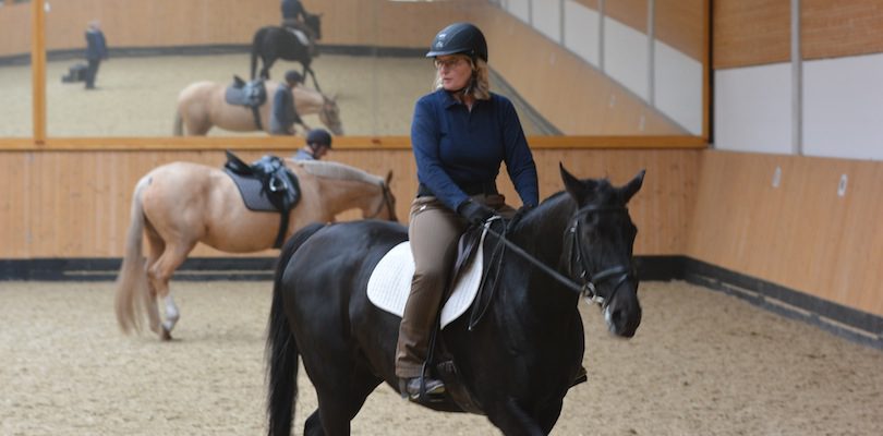 Reitunterricht-bei-Elaine-Butler Verbesserung-nach-Unterrichtseinheit