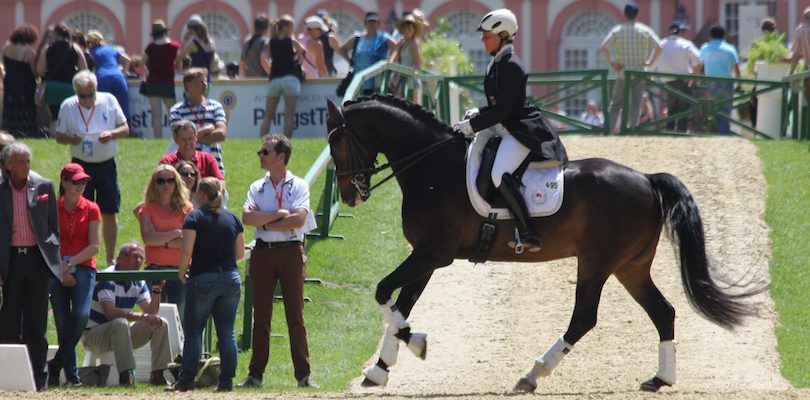 Lawrence-absolut-zuverlässiges-pferd Grand-Prix-Pferd