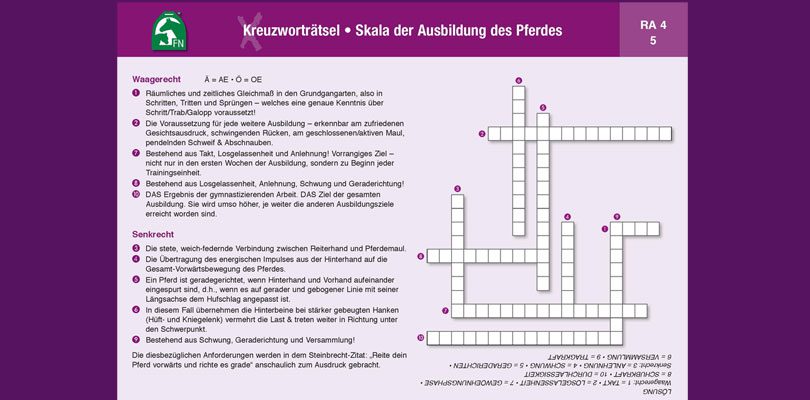 Wissenstests-Reiten-lehren Wissenstests-für-Reiter