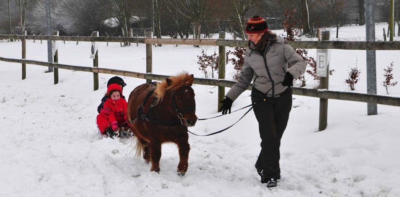 Schlitten-fahren-mit-Pferd Schlitten-fahren-mit-Pony