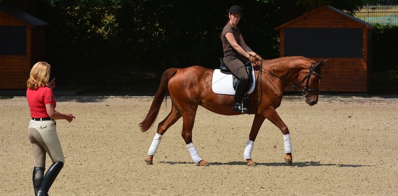 Reitpferd-Sakira Pferd-von-Britta-Schöffmann