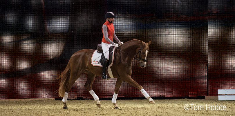 gala-abend reiten-gut-erklaert