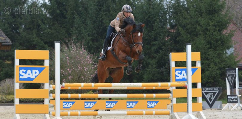 soma-bay-springen ingrid-klimke-springen