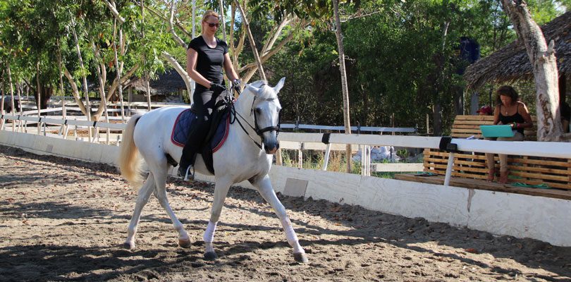 Reiten-auf-den-Philippen Pferde-reiten-auf-den-Philippinen