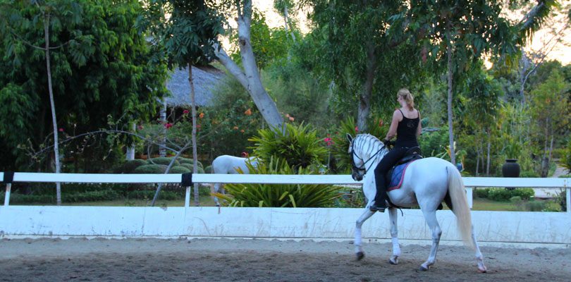 Reiten-am-Morgen Reitseminar-auf-den-Philippinen