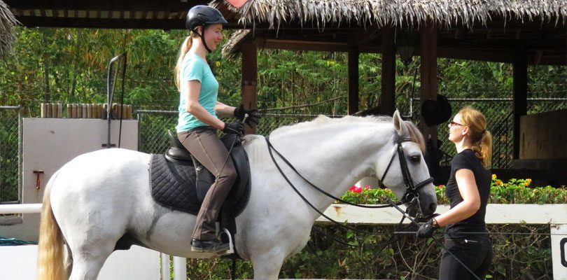 Reitunterrich-auf-den-Philippinen Reiten-bei-Christine-Schmiedel