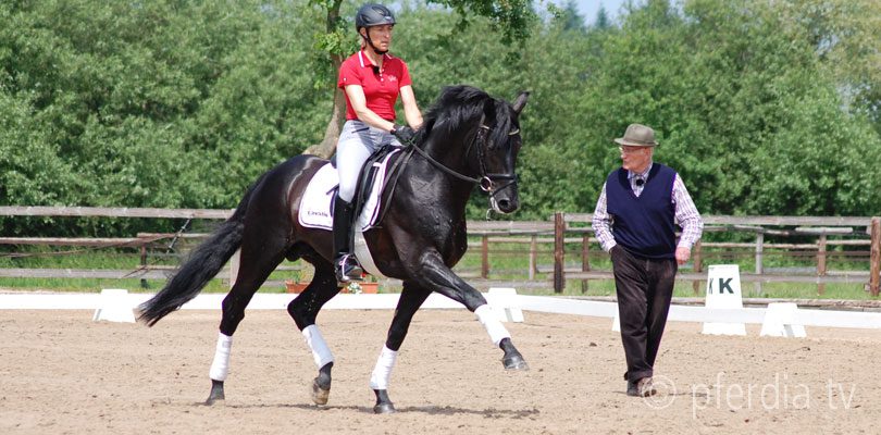 paul-stecken-training-klimke klimke-training-stecken