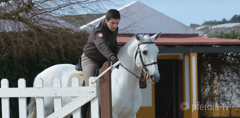 pedro-torres-working-equitation pedro-torres-working-equitation