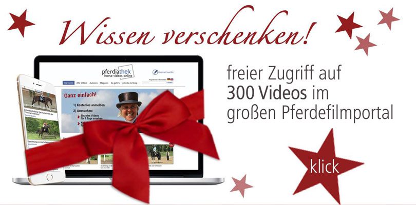 geschenkideen reiter-geschenl