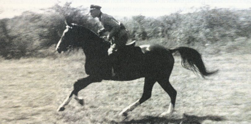 kurt-albrecht-ziegner kurt-albrecht-ziegner