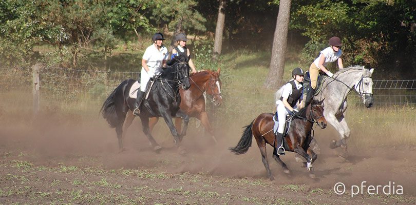 reiten-in-der-natur jagdreiten