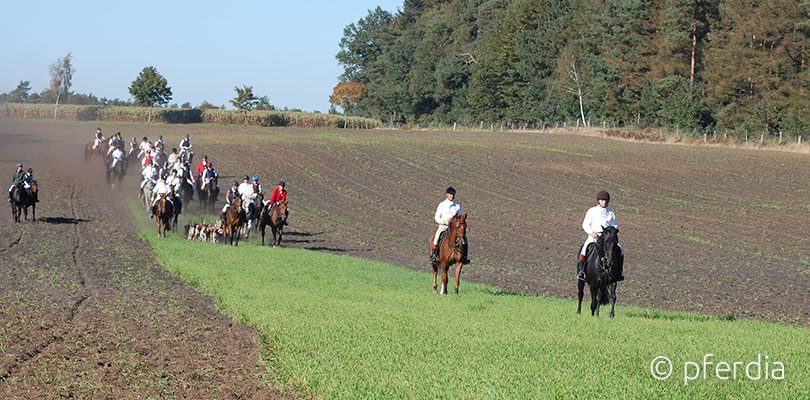 reiten-im-gelaende ausreiten-im-herbst