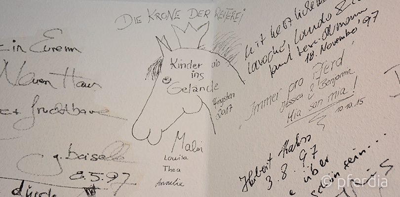 die-krone-der-reiterei kinder-bei-wehorse
