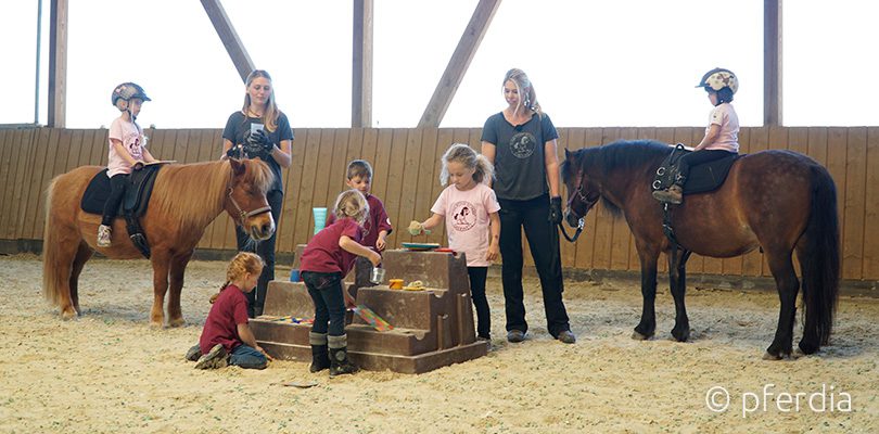 team-pony-concept kinder-reiten