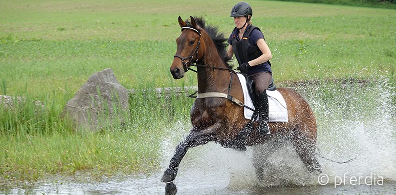 Ausbilderin-Malin-Hansen-Hotopp reitunterricht-fuer-kinder