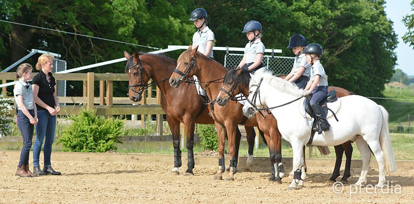 kinder-reiten-im-gelaende reitunterricht-fuer-kinder