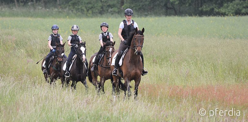 Malin-Hansen-Hotopp-kinder-reiten kinder-reiten-gelaende