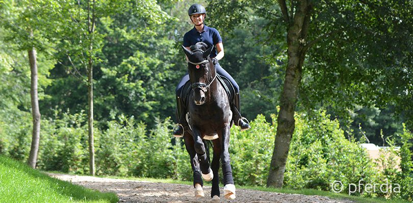 training-im-frühjahr reiten-im-frühjahr