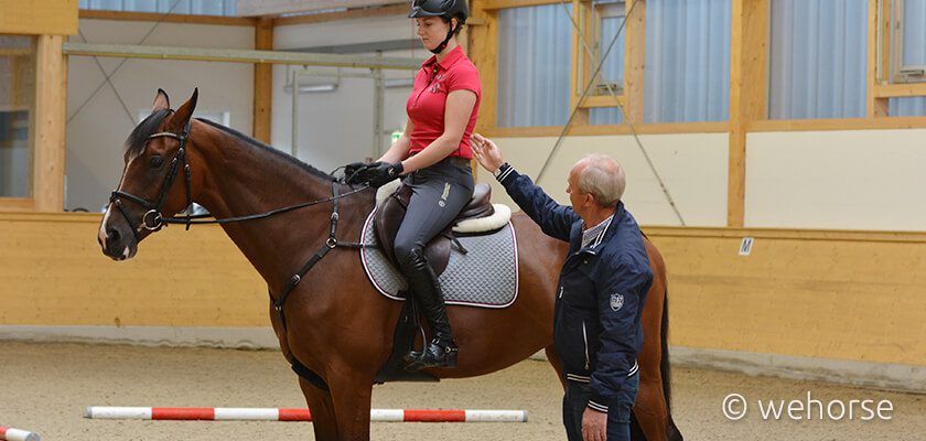 wehorse fn lernvideo reiten springen lehrgang fn wehorse springreiten sitzschulung