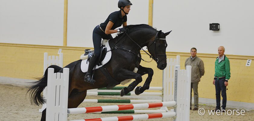 springreiten lehrgang ludger beerbaum springreiten lehrgang ludger beerbaum wehorse lernfilm