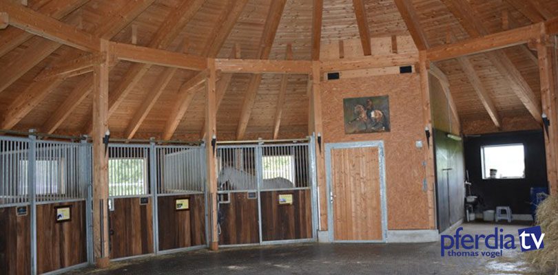 Innenansicht-Hengststall Hengsthaltung-bei-Anja-Beran