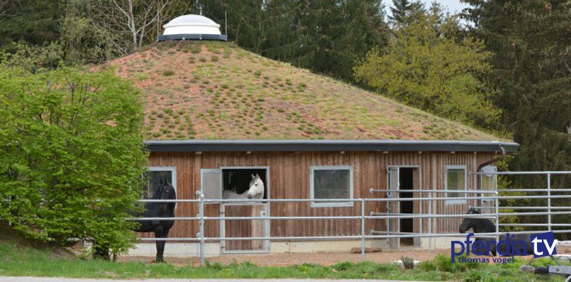 Hengststall-als-Rundstall Hengsthaltung-bei-Anja-Beran