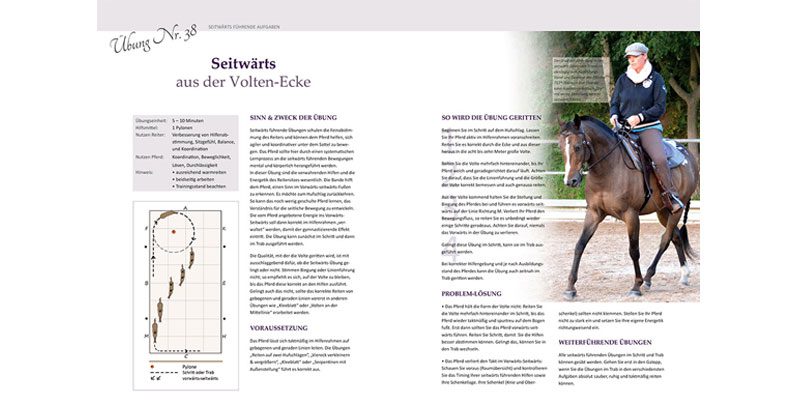 Einblicke-ins-Buch Übungen-aus-dem-Buch