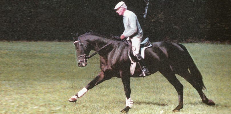Reiten-bis-ins-hohe-Alter Kurd-Albrecht-von-Ziegner-mit-91-Jahren