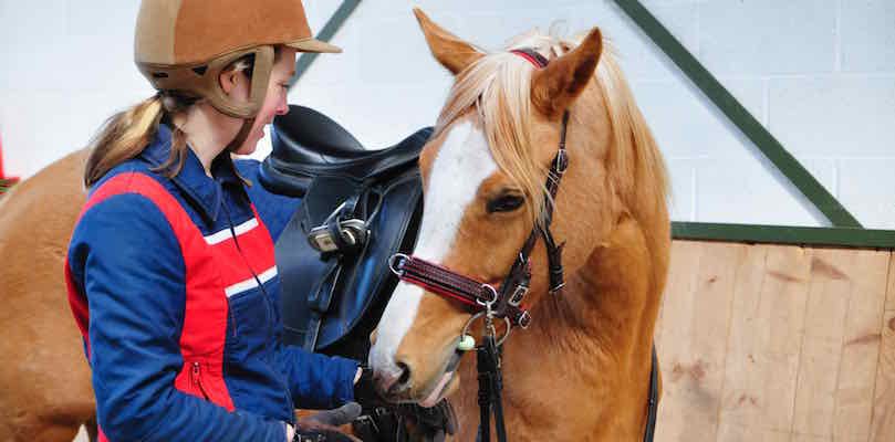 pferd-besonders eigenes-pferd