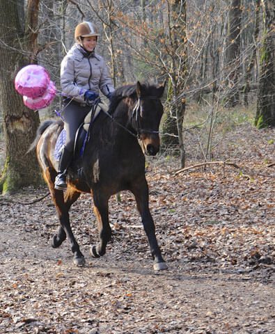 Geburtstagsfeier-fürs-Pferd Pferde-in-Rente